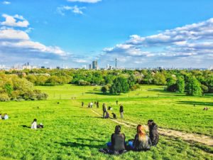 primrose hill london