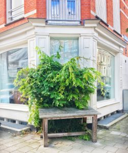AMSTERDAM BUCKET LIST