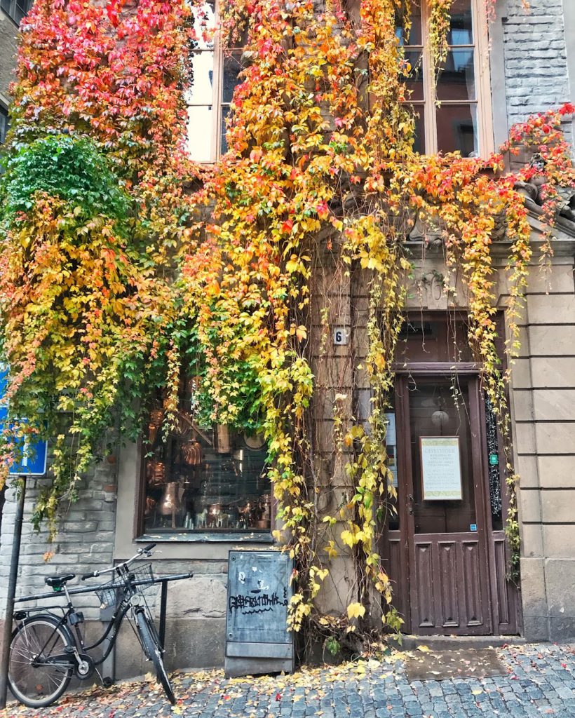 stockholm fall