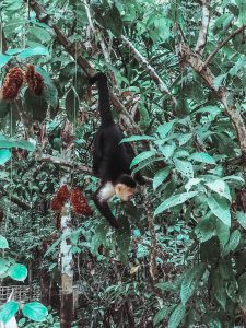manuel antonio bucket list