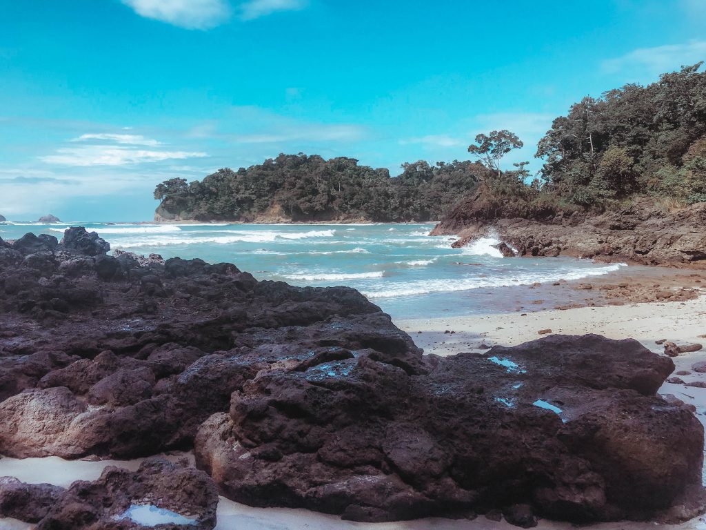 GUÍA PARA VISITAR EL PARQUE NACIONAL MANUEL ANTONIO GUÍA PARA VISITAR EL PARQUE NACIONAL MANUEL ANTONIO