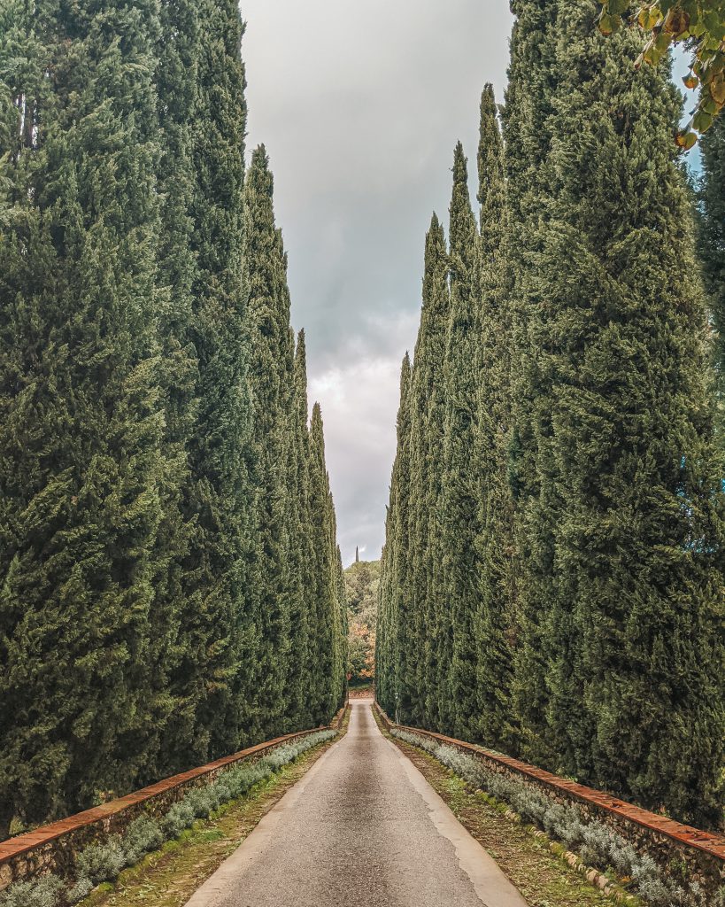 ITINERARIO DE VIAJE EN COCHE POR LA TOSCANA DESDE ROMA O FLORENCIA