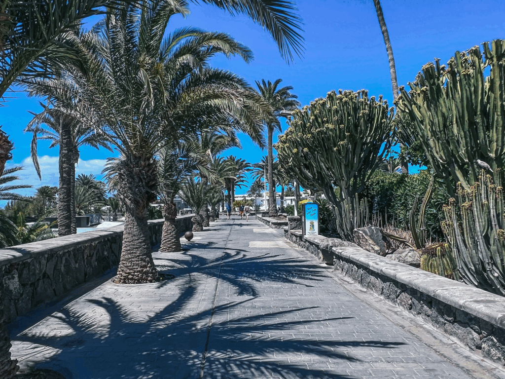 SAN AGUSTIN, GRAN CANARIA TRAVEL GUIDE: TOP THINGS TO DO & WHERE TO STAY