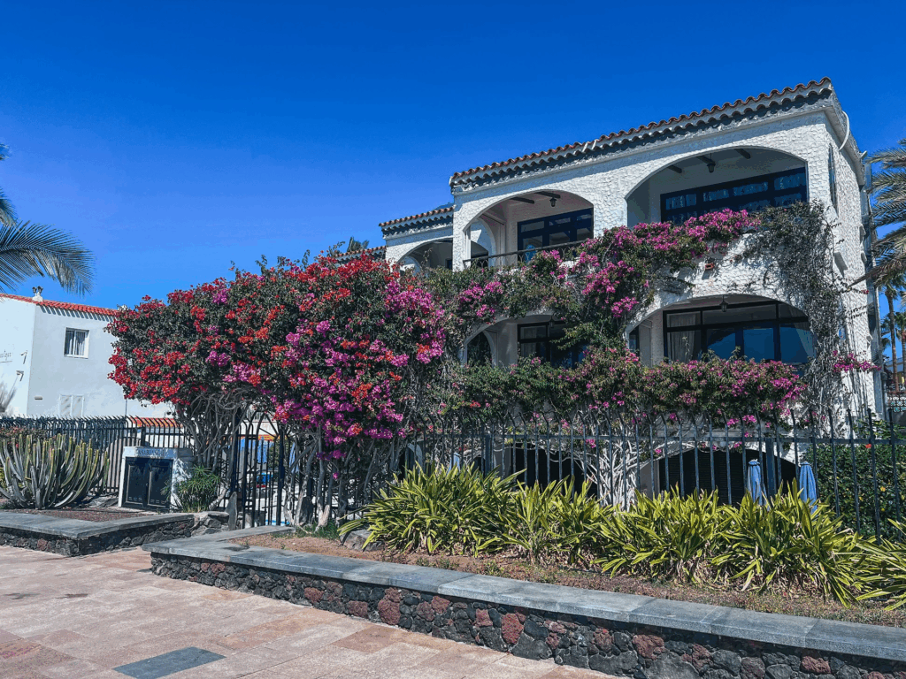 SAN AGUSTIN, GRAN CANARIA TRAVEL GUIDE: TOP THINGS TO DO & WHERE TO STAY
