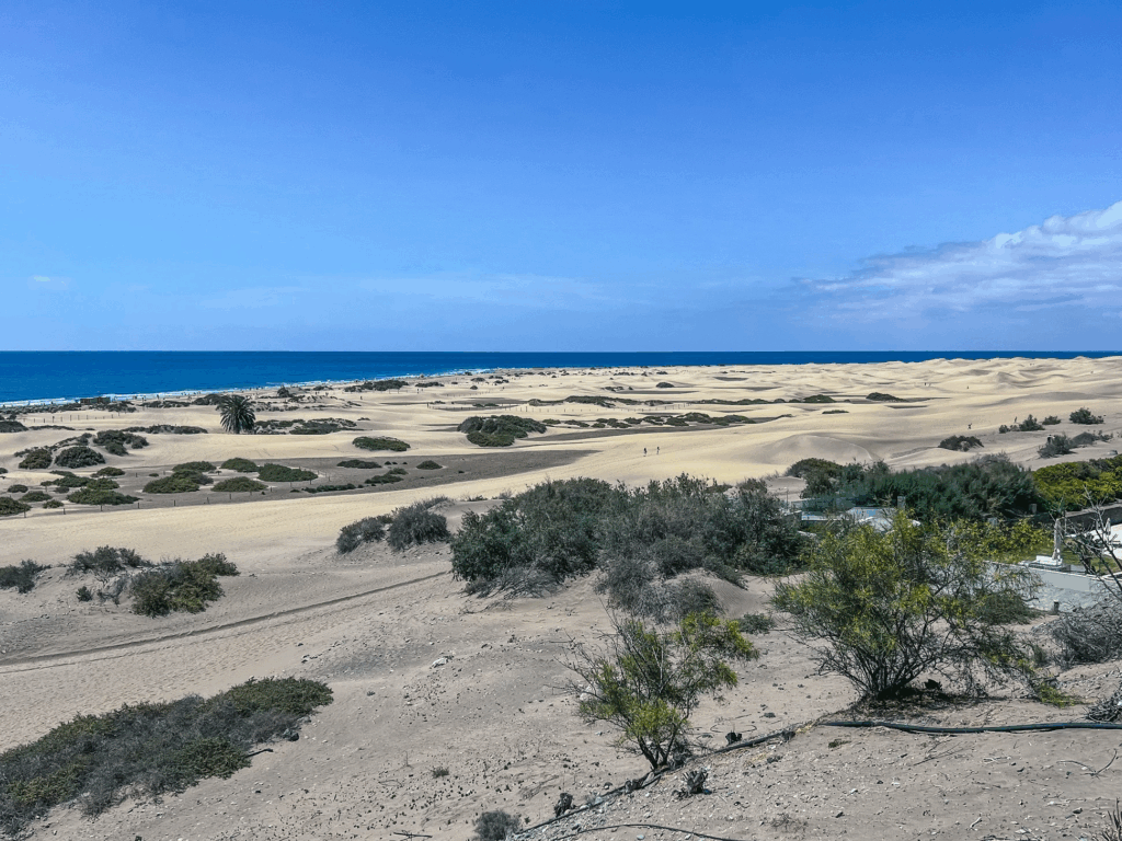 SAN AGUSTIN, GRAN CANARIA TRAVEL GUIDE: TOP THINGS TO DO & WHERE TO STAY