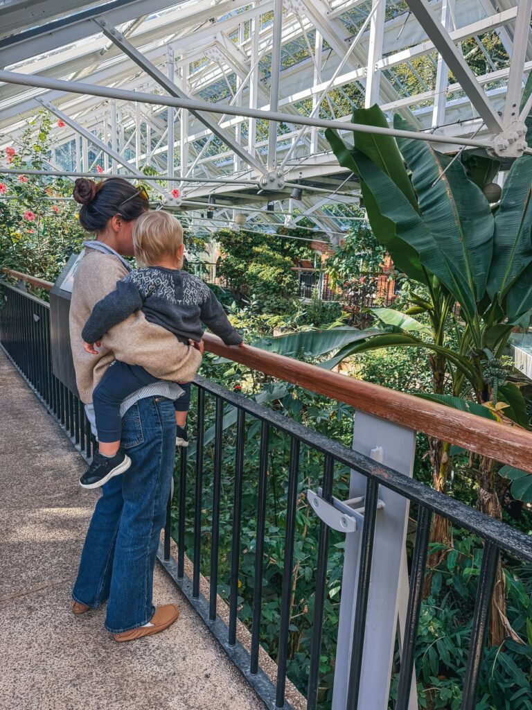 Vivaia Avoir travel loafers review, wearing the loafers at Belfast Botanic Gardens Palm House